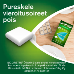 NICORETTE FRUITMINT lääkepurukumi 2 mg 105 fol